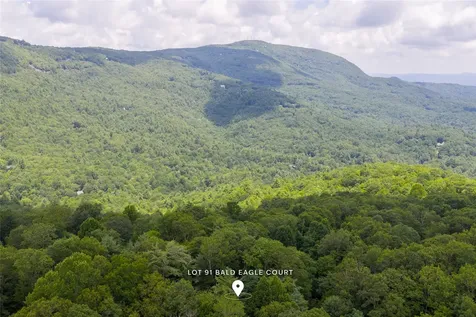Lot 91 Bald Eagle Court Sapphire NC 28774