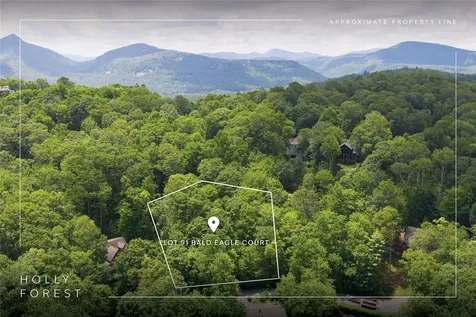 Lot 91 Bald Eagle Court Sapphire NC 28774