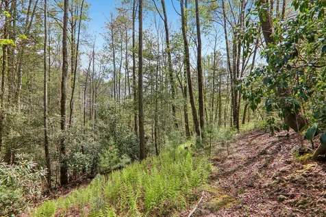 15 Spruce Court Sapphire NC 28774
