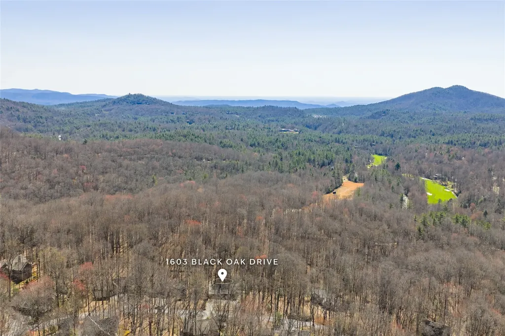 1603 Black Oak Drive Sapphire NC 28774