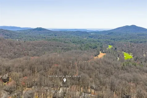 1603 Black Oak Drive Sapphire NC 28774