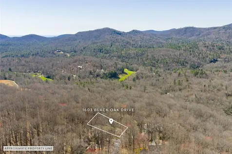 1603 Black Oak Drive Sapphire NC 28774