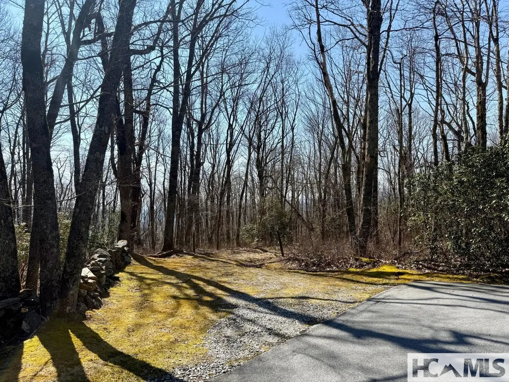 24 Cloudview Point Sapphire NC 28774
