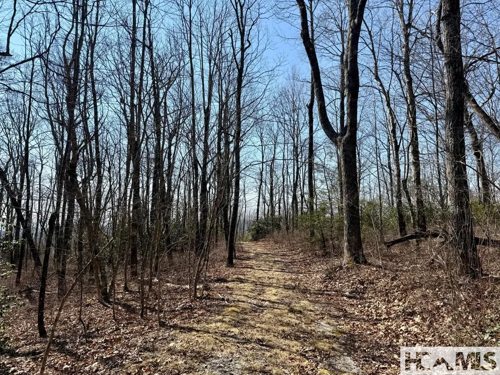 24 Cloudview Point Sapphire NC 28774