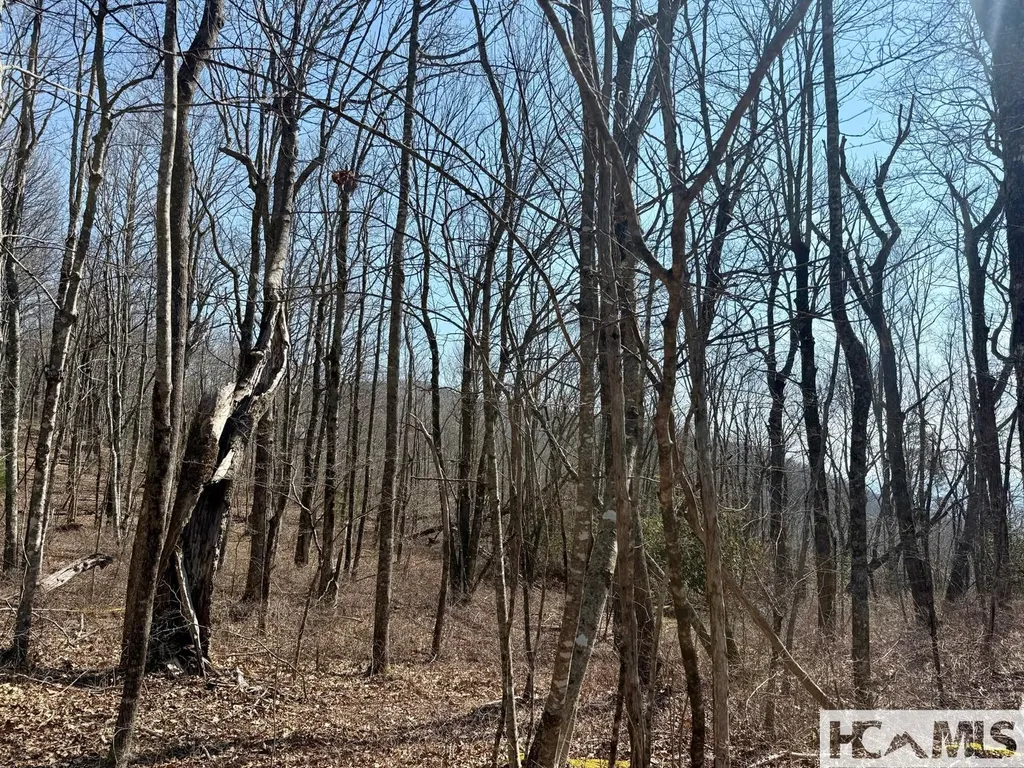 24 Cloudview Point Sapphire NC 28774
