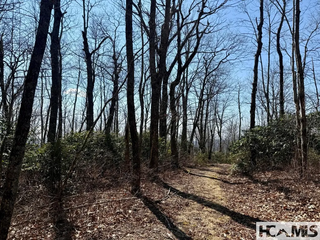 24 Cloudview Point Sapphire NC 28774