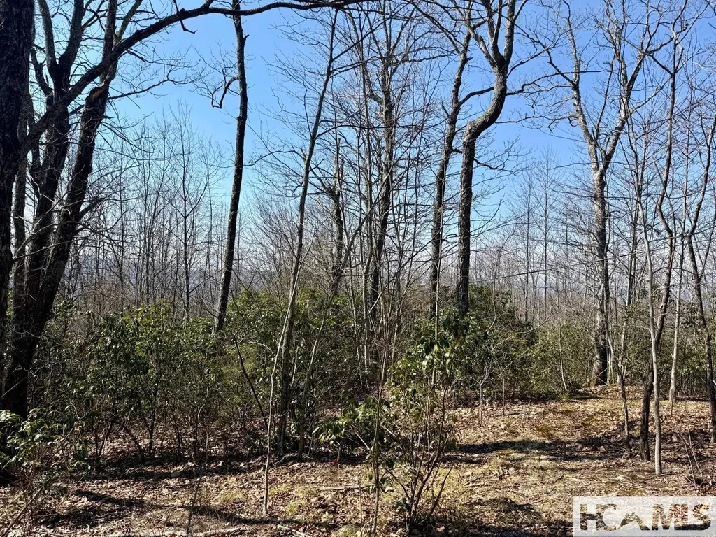24 Cloudview Point Sapphire NC 28774