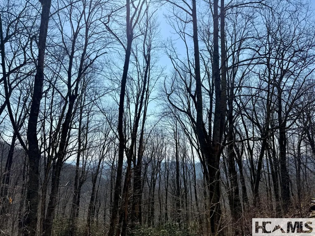 24 Cloudview Point Sapphire NC 28774