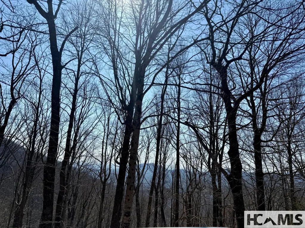 24 Cloudview Point Sapphire NC 28774