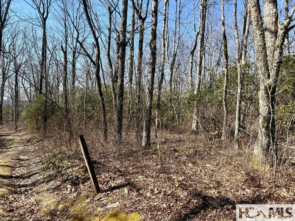24 Cloudview Point Sapphire NC 28774