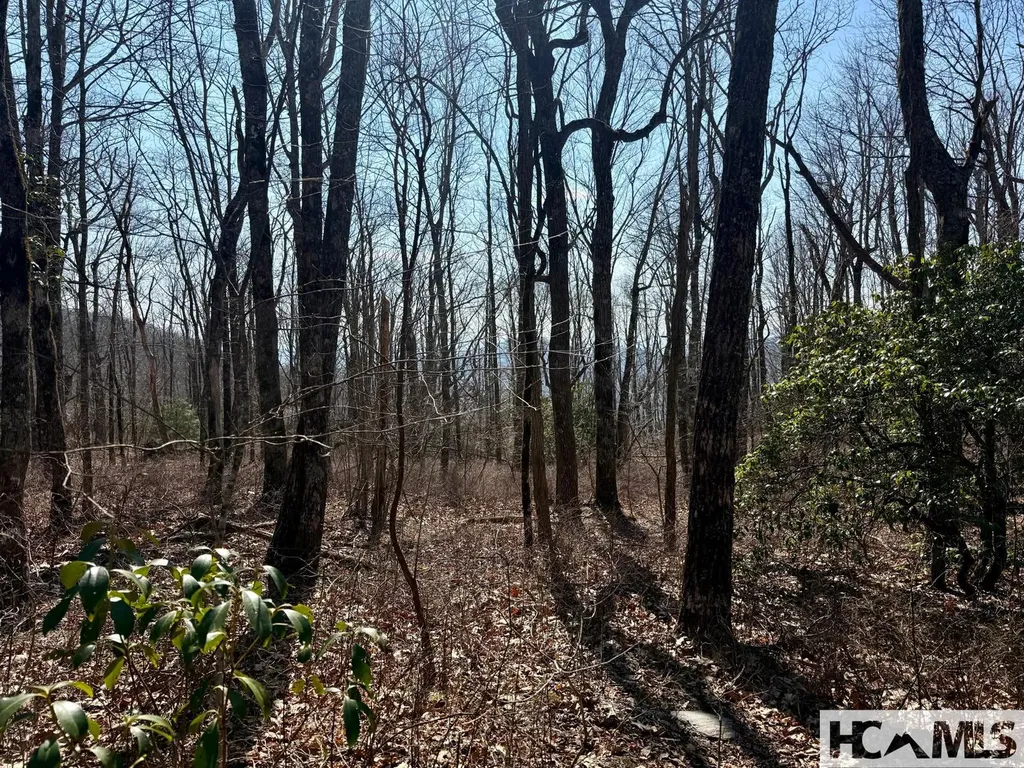 24 Cloudview Point Sapphire NC 28774
