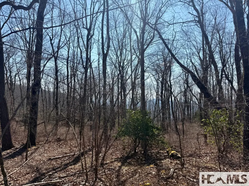 24 Cloudview Point Sapphire NC 28774