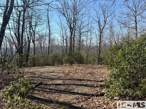 24 Cloudview Point Sapphire NC 28774