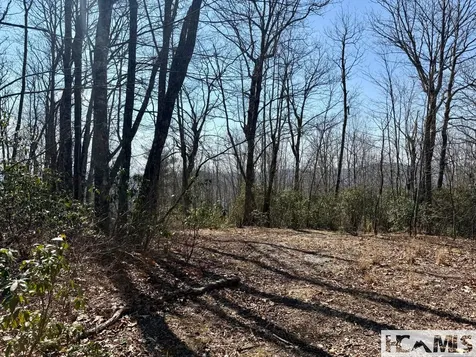 24 Cloudview Point Sapphire NC 28774