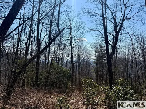 24 Cloudview Point Sapphire NC 28774