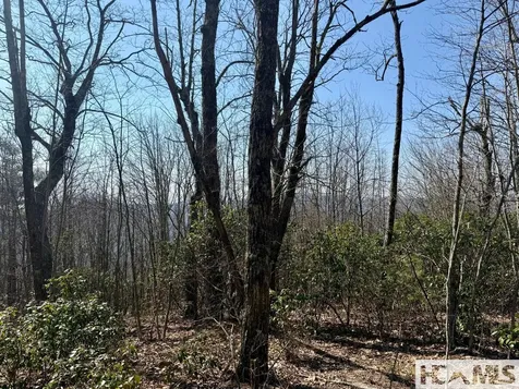 24 Cloudview Point Sapphire NC 28774