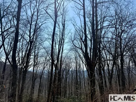 24 Cloudview Point Sapphire NC 28774