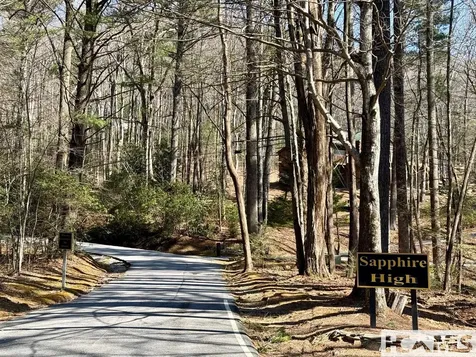 24 Cloudview Point Sapphire NC 28774