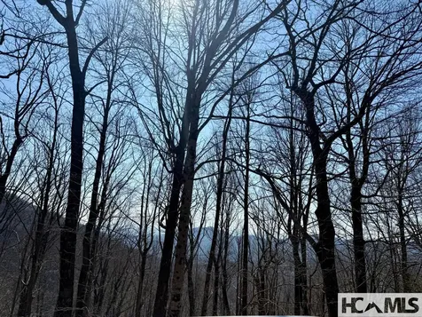 24 Cloudview Point Sapphire NC 28774
