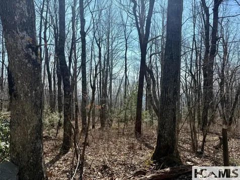 24 Cloudview Point Sapphire NC 28774