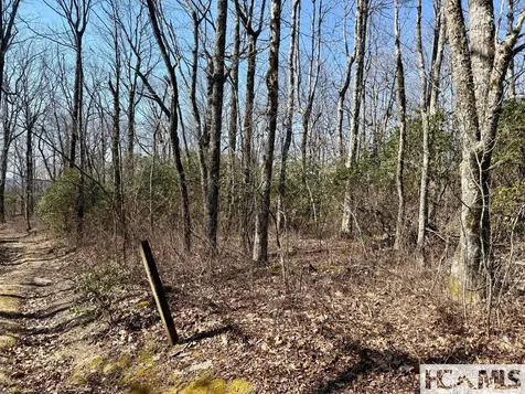 24 Cloudview Point Sapphire NC 28774