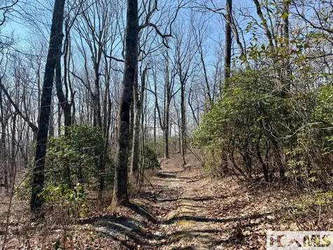 24 Cloudview Point Sapphire NC 28774