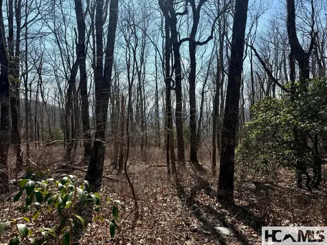 24 Cloudview Point Sapphire NC 28774