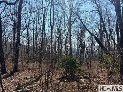 24 Cloudview Point Sapphire NC 28774