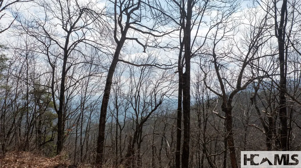 Lot 1 King Gap Road Highlands NC 28741