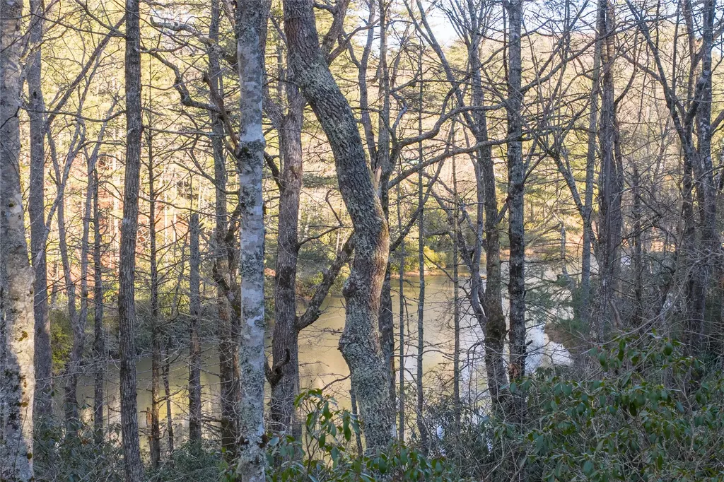 349 Lance Road Cashiers NC 28717