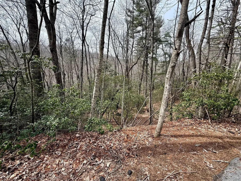 Lot 39 Alder Court Sapphire NC 28774