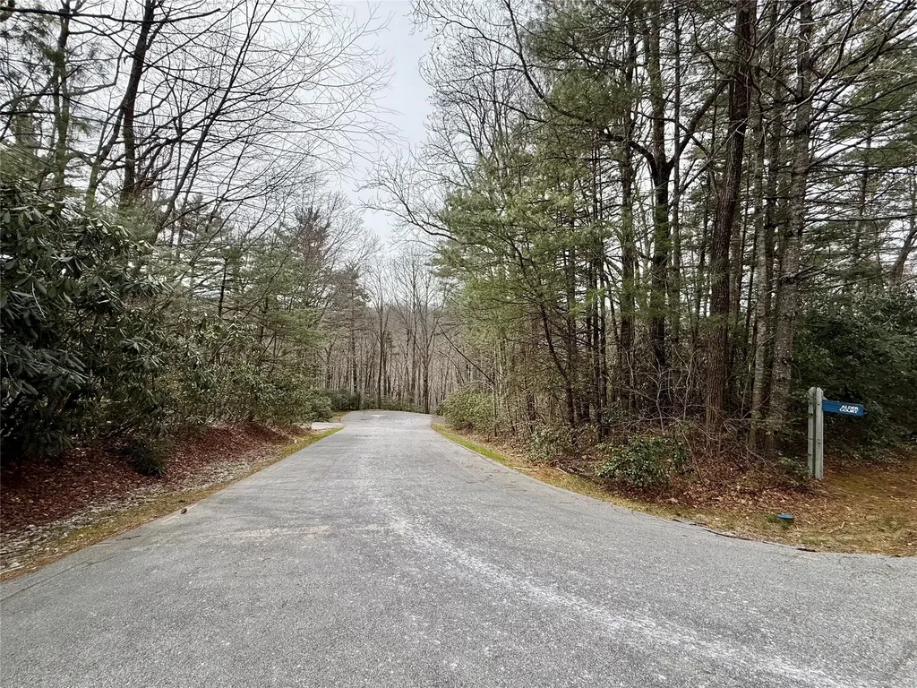 Lot 39 Alder Court Sapphire NC 28774