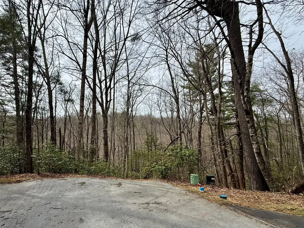 Lot 39 Alder Court Sapphire NC 28774