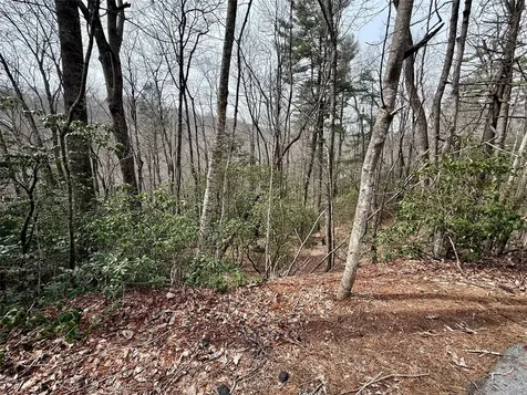 Lot 39 Alder Court Sapphire NC 28774