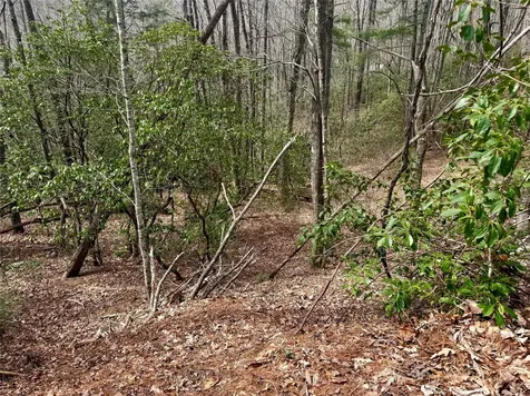Lot 39 Alder Court Sapphire NC 28774
