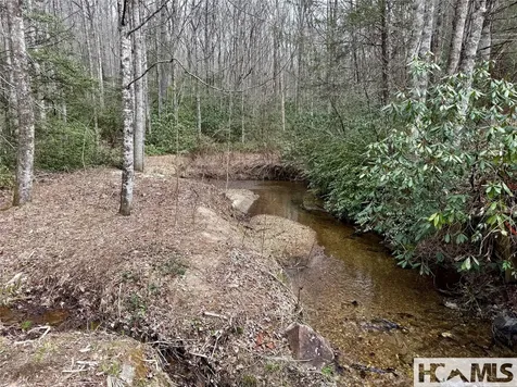 Lot 39 Alder Court Sapphire NC 28774
