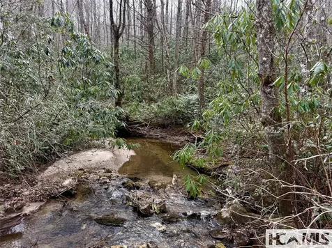 Lot 39 Alder Court Sapphire NC 28774