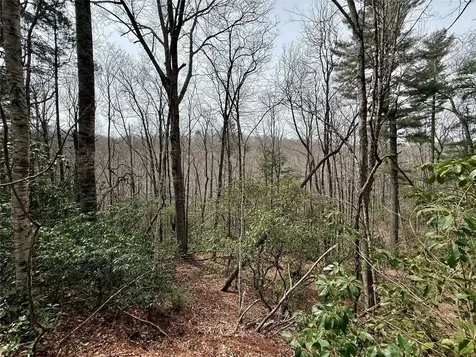 Lot 39 Alder Court Sapphire NC 28774