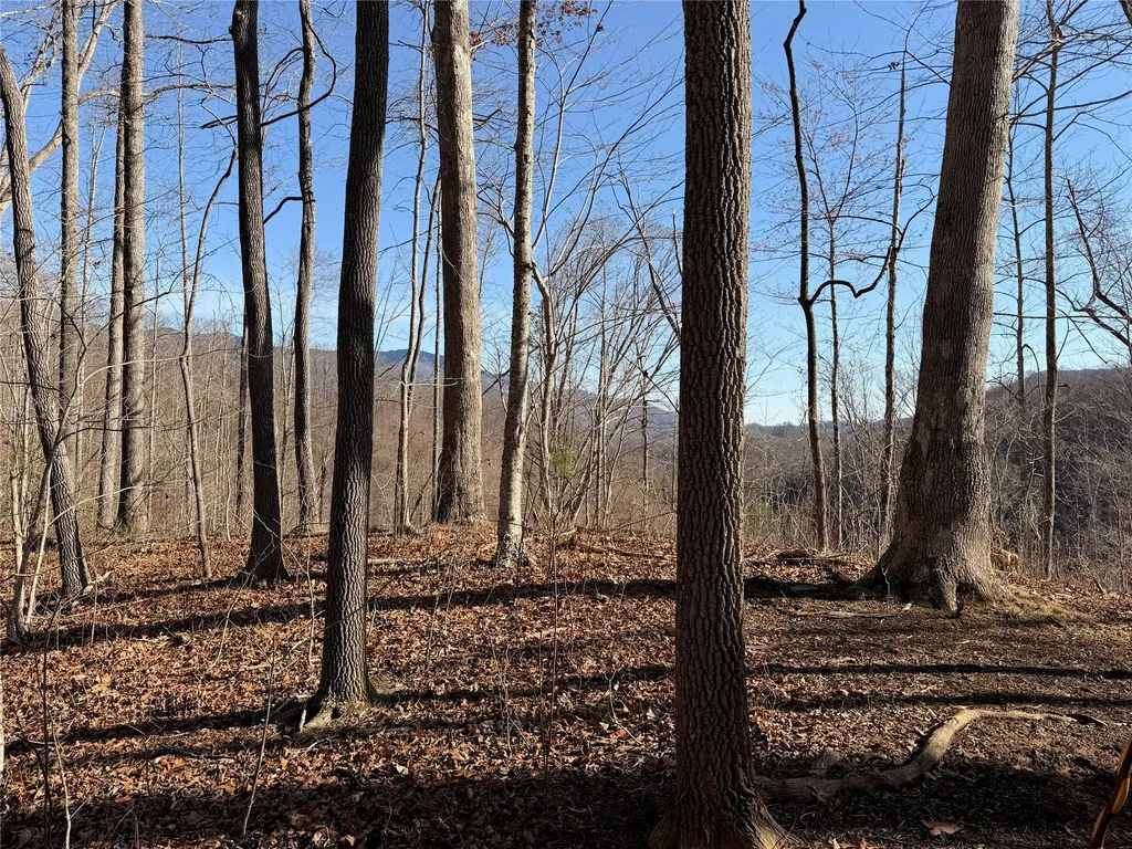 0 Posey Blanton Road Sylva NC 28779