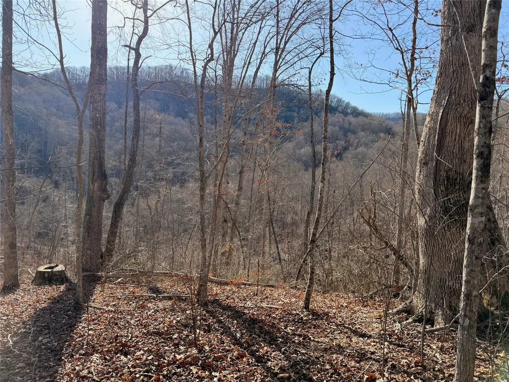 0 Posey Blanton Road Sylva NC 28779