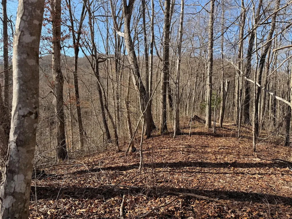 0 Posey Blanton Road Sylva NC 28779