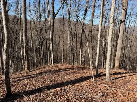 0 Posey Blanton Road Sylva NC 28779