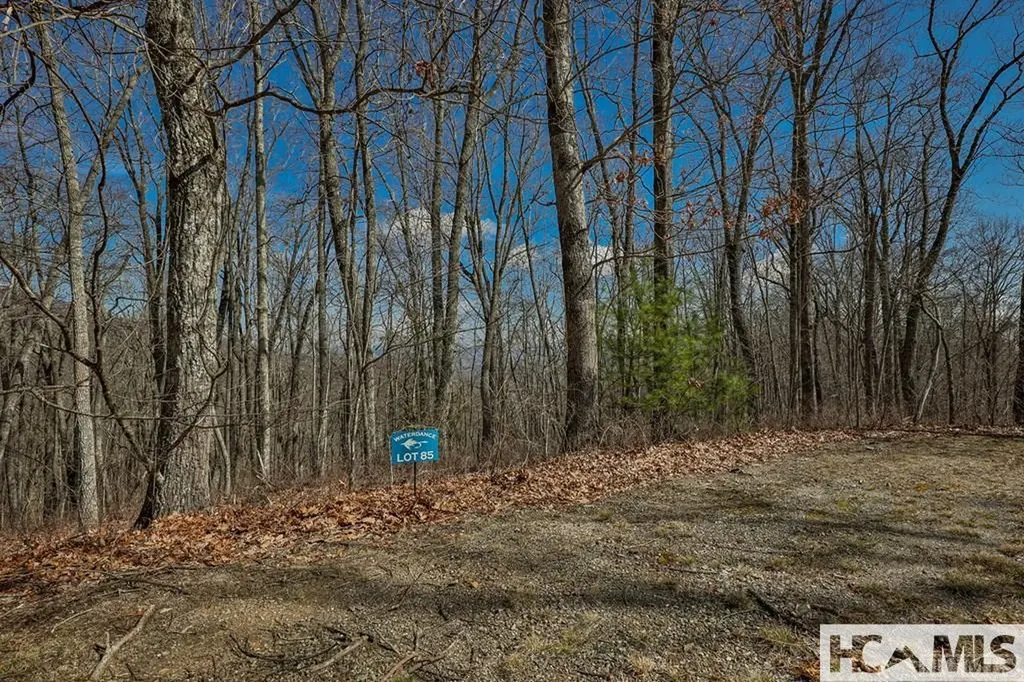 Lot 85 Waterdance Drive Tuckasegee NC 28783