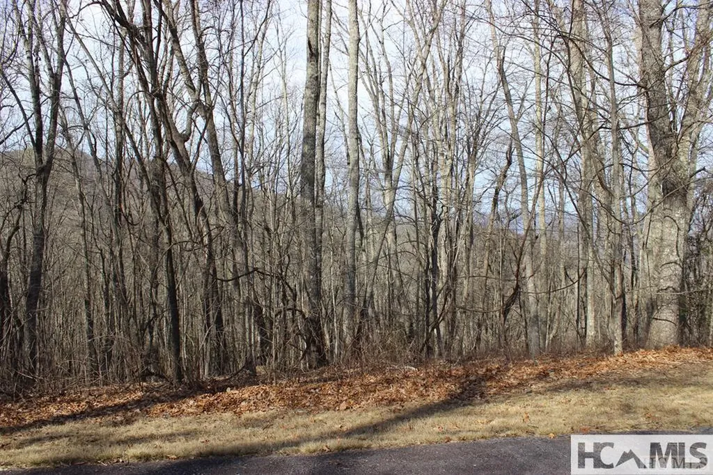 Lot 85 Waterdance Drive Tuckasegee NC 28783