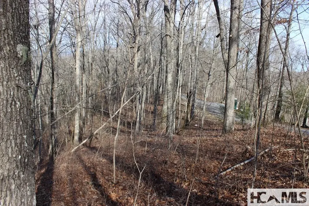 Lot 84 Waterdance Drive Tuckasegee NC 28783