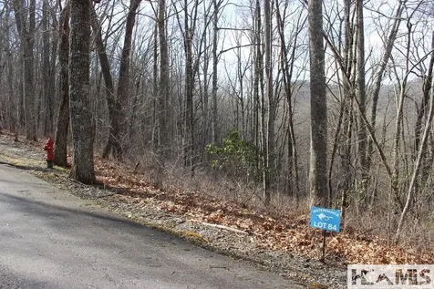 Lot 84 Waterdance Drive Tuckasegee NC 28783