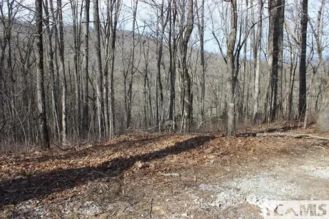 Lot 84 Waterdance Drive Tuckasegee NC 28783