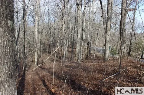 Lot 84 Waterdance Drive Tuckasegee NC 28783