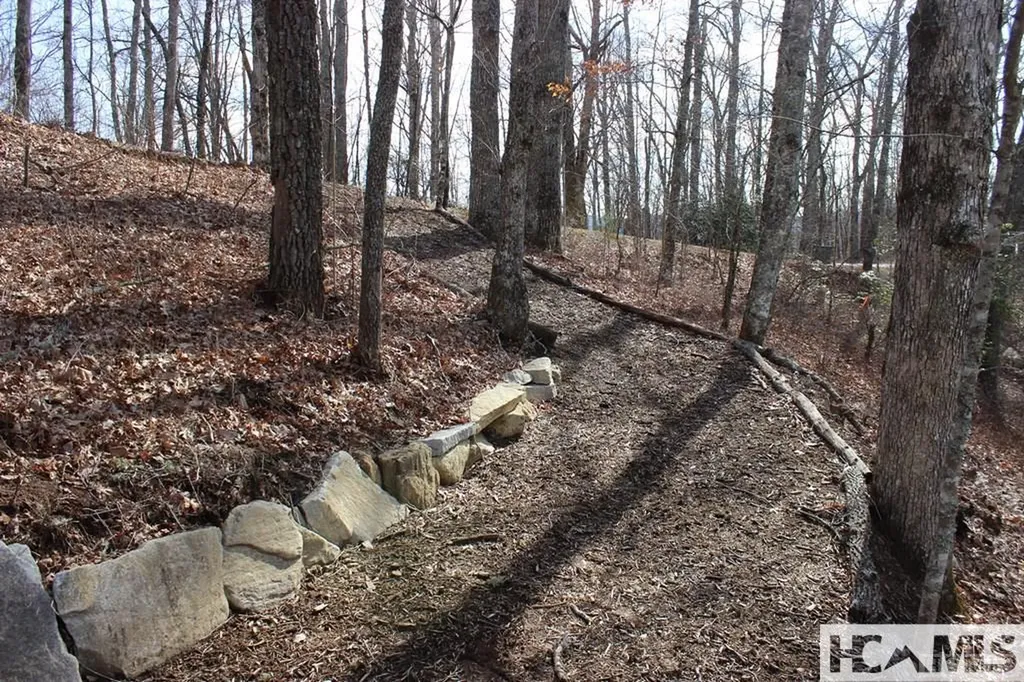 82&83 Waterdance Drive Tuckasegee NC 28783