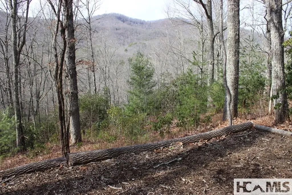 82&83 Waterdance Drive Tuckasegee NC 28783